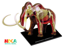 Educational Designer Toys 4D Forest Animals Puzzle Master Simulation DIY Anatomical model for Children mkd3 mammoth Elephant 2024 - buy cheap