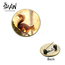 SIAN Anime Cute Squirrels Brooch Pin Animal Art Picture Round Glass Cabochon Lapel Pin Badge Jewelry Gifts for Kids Women Girls 2024 - buy cheap