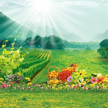 Fruit Field Backdrop for Photography Bokeh Sunshine Printed Green Trees Yellow Flowers Countryside Scenic Photo Shoot Background 2024 - buy cheap
