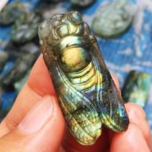 1pcs AAAA Beautiful crystal carvings natural hand-carved labrador stone cicadas necklace with fashionable jewelry gifts 2024 - buy cheap