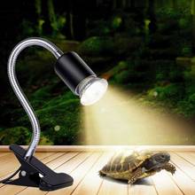 Reptile Bask Back Light 110V US Turtle Warming Lamp Full Spectrum UVA UVB Ultraviolet Bulb Low Consumption Pet Products 25/50/75 2024 - buy cheap