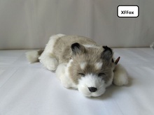 Perro en miniatura de imitación husky, perro en miniatura, gris durmiente, bonito, regalo de 25cm, xf1571 2024 - compra barato
