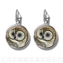 Owl Pattern Classic Stud Earrings Insect Art Picture 16mm Glass Cabochon Dome Silver Plated Earrings For Women Girls Gift 2024 - buy cheap