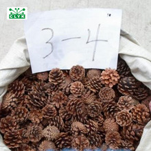 Naturally Dried Pine Cones Pinecone Xmas New Year Holiday Party Decoration Christmas Decoration Home Supplies 3~4CM/2pcs 2024 - buy cheap
