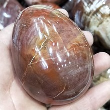 DHXYZB 70-75mm Natural Petrified Wood fossil Sphere Polished Egg palm crystal Quartz Rock stone Mineral Reiki Healing Home decor 2024 - buy cheap
