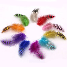 50PCS Mixed Colors Guinea Pearl Hen Feather Spey Flies Tailing Cheeks Streamers Fly Tying Material 2024 - buy cheap