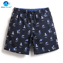 Sexy Mens Swimwear Beach Board Shorts Quick Dry Polyester Swimming Trunks Plus Size Male Lining Sport Running Surfing Swimsuits 2024 - buy cheap