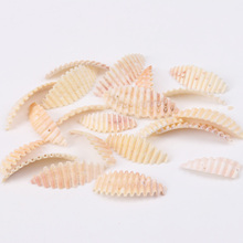 39-43mm Natural Spiral Shell Loose Beads for jewelry making DIY 40pcs TRS0129 2024 - buy cheap