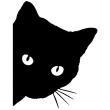 Hotmeini 15cm * 12cm cara de gato com bigodes peeking etiqueta do carro para caminhão janela pára suv porta vinil decalque 13 cores 2024 - compre barato