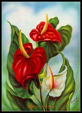 Bordado kit de ponto cruz bordado, artesanato 14 ct dmc cor diy artesanato decoração-anthurium 2024 - compre barato