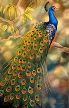 hand-painted stretched  framed oil wall art  Beautiful peacock forest  home decoration  Landscape canvas oil painting 2024 - buy cheap