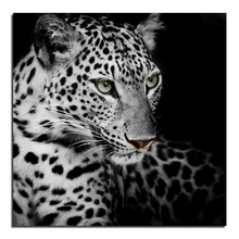 Черно-белый леопард, 40x40, алмазная вышивка, «сделай сам», алмазная вышивка, квадратное сверло, стразы, вставленные ремесла, рукоделие, украшение для дома 2024 - купить недорого