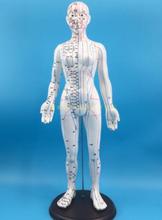 50/48cm cuero completo blanco hombres y mujeres modelo humano modelo de meridianos humanos modelo de Medicina Tradicional China modelo de punto de acupuntura 2024 - compra barato