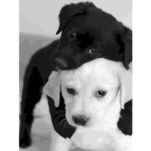 GLymg Diy Diamond Embroidery Image Of 5D Diamond Painting Black And White Labrador Pup Diamond Wall Arts Decor 2024 - buy cheap