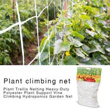 Растительная решетчатая сетка сверхмощная полиэфирная растительная поддержка лоза альпинистская Гидропоника садовая сетка для лазанья 2024 - купить недорого