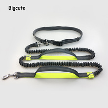 Hands Free Pet Dog Cat Running Jogging Padded Waist Belt Reflective Strip Elastic Leash Perfect Walking Training Dog Leash Set 2024 - buy cheap