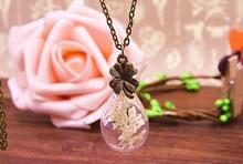 10pcs/lot Real natural ivory dry flower Necklace bronze tone clover charm glass bulb bottle pendants necklace 2024 - buy cheap