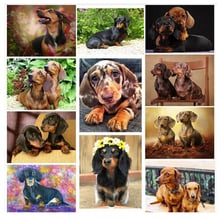 Diy 5d diamond painting Dachshund rhinestones full square diamond embroidery animal cute Dog cross stitch mozaik puzzle ZP-2430 2024 - buy cheap