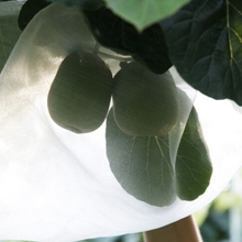 Bolsa de red de nailon para bonsái, cubierta protectora de árbol de plantas frutales, antiaves, mosquitos, con sello de cuerda, 5 uds. L:70-95cm 2024 - compra barato