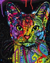 Pinturas por números de gato, sem moldura, faça você mesmo, decoração para casa, pintura em tela de 4050cm, grafite, gatinho 2024 - compre barato