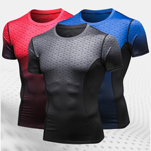 2019 novo masculino de fitness de manga curta camiseta de treinamento de secagem rápida sportwear de fitness jogging sportwear 2024 - compre barato