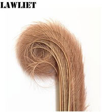 5pcs/lot Burnt Pheasant Feather Millinery Hat Trimmings Craft Supply 15 colors to choose B071 2024 - buy cheap