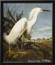 art animals Snowy Heron or White Egret John James Audubon paintings home decor High quality Hand painted 2024 - buy cheap