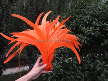 wholesale 100pcs/lot natural Orange Beautiful Rooster feathers 35-40cm 14-16Inch 2024 - buy cheap