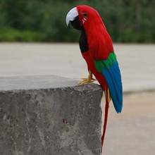 Aves de imitación de loro realista para hombre, modelo de decoración hecho a mano de 30cm, regalo t023 2024 - compra barato