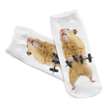 Moda verão Animal Meias 3D Impresso Engraçado kawaii Meias Mulheres Meias de Fitness Hamster Invisível Muitos Estilo Bonito Animal 3d 2019 2024 - compre barato