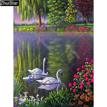 Pintura "de cisne para casal" zhui star completa de diamante quadrado 5d diy bordado ponto cruz imitação de diamante decoração de mosaico y7 2024 - compre barato