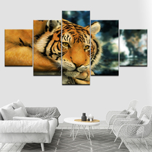 A lying tiger animal poster 5 Piece Wallpapers Art Canvas Print modern Poster Modular art painting for Living Room Home Decor 2024 - buy cheap