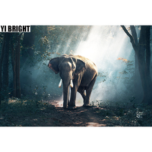 Pintura de diamantes redondos/cuadrados 5D, mosaico bordado de animales de elefante en el bosque, punto de cruz, decoración del hogar GT 2024 - compra barato