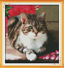 Вышивка крестиком DMC с изображением кошки, Набор для вышивки, домашний Настенный декор с изображением милых кошек и животных 2024 - купить недорого