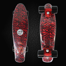 New 2019 Space Graphic Zebra Print Mini Cruiser Plastic Skateboard 22"Retro longboard complete Skate Long Board for sale PN04 2024 - buy cheap