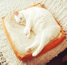 Креативные тосты Gomaomi для хлеба, стильные коврики для домашних животных, подушка, мягкий теплый матрас, кровать для кошек и собак 2024 - купить недорого