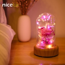 Cadena de luces LED de cobre para decoración, lámpara de luz nocturna con batería recargable, altavoz inalámbrico Bluetooth, Luminaria de mesa 2024 - compra barato