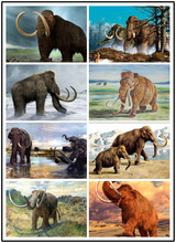 LIPHISFUN Full Drill Diamond Painting Handmade Cross Stitch Embroidery Square/round DIY Animal Mammoth 2024 - buy cheap