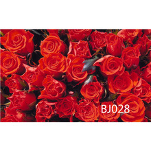 LB poliéster y vinilo lleno de rosas rojas Día de San Valentín telones de fondo para fotografía estudio Fondo foto accesorios Decoración 2024 - compra barato