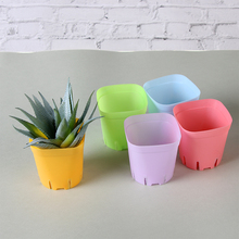 10pcs/lot Mini Square Plastic Plant Flower Pot Home Office Decor Planter Colorful with Pots Trays Green Plant Garden Supply 2024 - buy cheap