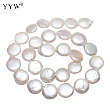 YYW Cultured Coin Freshwater Pearl Beads Flat Round Natural White 13-14mm Approx 0.8mm Sold Per Approx 14.5 Inch Strand 2024 - buy cheap