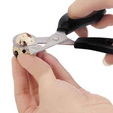 1PCS High Quality Stainless Steel Quail Egg Scissors Bird Egg Scissors Egg Cutters Eggshell Cutters Egg Opener Kitchen Scissors 2024 - buy cheap