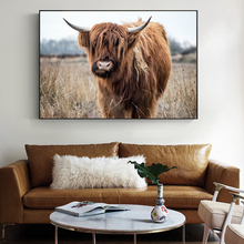 Highland vaca quadros da arte em tela animais modernos cartazes de parede e cópias da arte da vaca imagens para sala estar cuadros decoração 2024 - compre barato