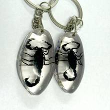 FREE SHIPPING 10 pcs oval design black scorpion lucid cool biker Keychain 2024 - buy cheap