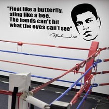 Muhammad ali flutuador como uma borboleta boxe citação vinil adesivo de parede decalque moda adesivos para ginásio sala estar mural d520 2024 - compre barato