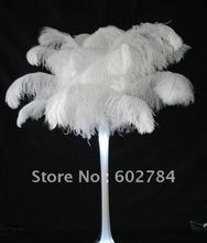 Penas brancas de avestruz-22-24 polegadas 55-60cm envio grátis ems atacado 2024 - compre barato