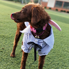 Moda listra cão gato camiseta saia verão roupas para animais de estimação vestido para cães pequenos chihuahua yorkshire poodel camisas cães de estimação roupas 2024 - compre barato