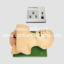 BIX-J5S электронный манекен для дыхательных путей (с устройством сжатия зубов), тренировочная модель для трахеи Cannula WBW055 2024 - купить недорого