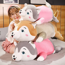 40-100cm Cute Husky with Clothes Plush Toys Stuffed Soft Lovely Dog Pillows Animal Dolls for Kids Children Girls Birthday Gifts 2024 - buy cheap