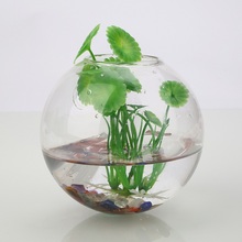 1Pc 7*8CM Wall Hanging Flower Pot White High Borosilicate GlassTransparent Glass Ball Vase Container Home Garden Decor 2024 - buy cheap